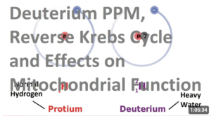 Déplétion en deutérium pour optimiser la santé mitochondriale et métabolique