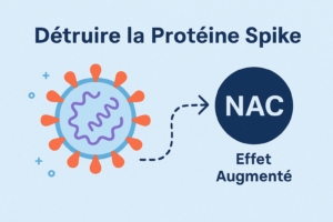 Infographie représentant un virus avec des protéines spike rouges et une flèche pointant vers un cercle marqué « NAC », expliquant l'effet de neutralisation. 